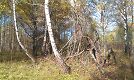 Добавлено 28 сентября 2012 в 11:28